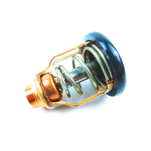 Thermostat Suzuki DF140B