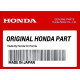 Timing belt Honda BF115