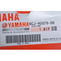 impeller kit Yamaha F40