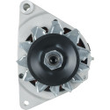 Alternator Lombardini Engine