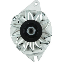 Alternator Rover 400 Tourer (XW)