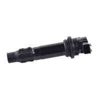 Ignition coil Yamaha 232 Limited-1