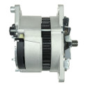 Alternator Rover MONTEGO_2