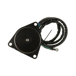 Moteur électrique Yamaha 225 - 250HP