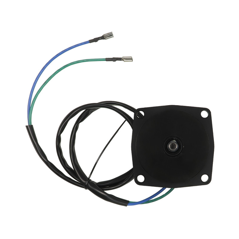 Moteur électrique EVINRUDE Engine