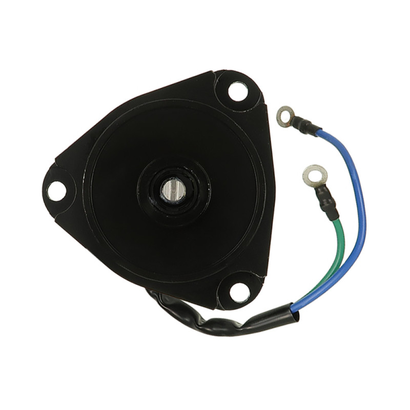 Moteur électrique OMC Various Models