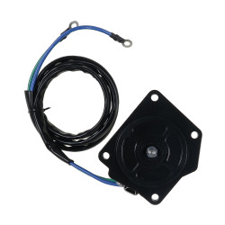 Moteur électrique Yamaha F75