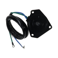 Moteur électrique Yamaha Engine