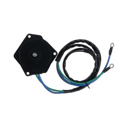 Moteur électrique Yamaha F60