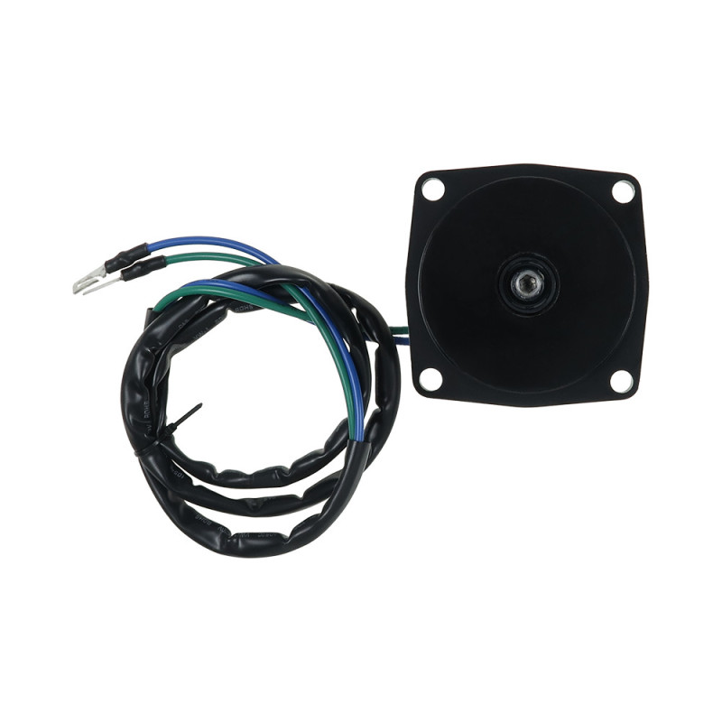 Moteur électrique EVINRUDE E50TLE