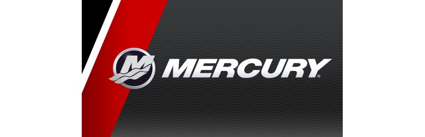 Mercury Trim Motor